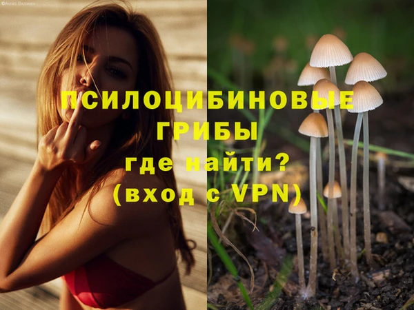 мдпв Нея