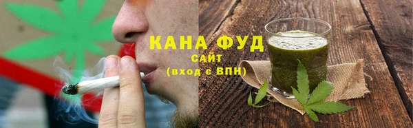 хмурый Белая Холуница
